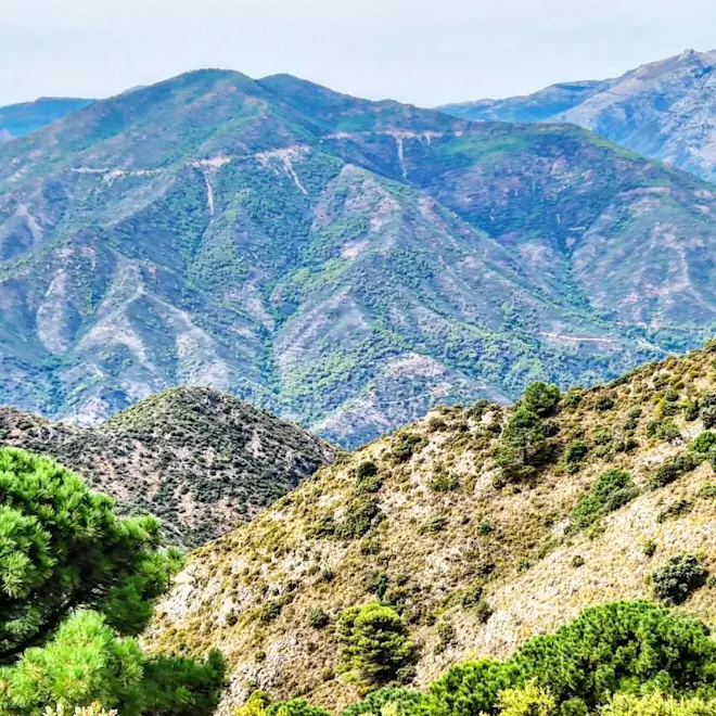 Het natuurgebied Juanar in de buurt van Marbella in Spanje. In de eerste 19 dagen maart viel hier bijna 800 millimeter regen - Reinout van den Born