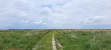 Wolkenlucht boven het Terletseveld - Grieta Spannenburg.