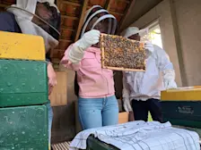 Leden van de Imkervereniging Haaksbergen tijdens een praktijkdag aan de slag met een bijenvolk - Imkervereniging Haaksbergen
