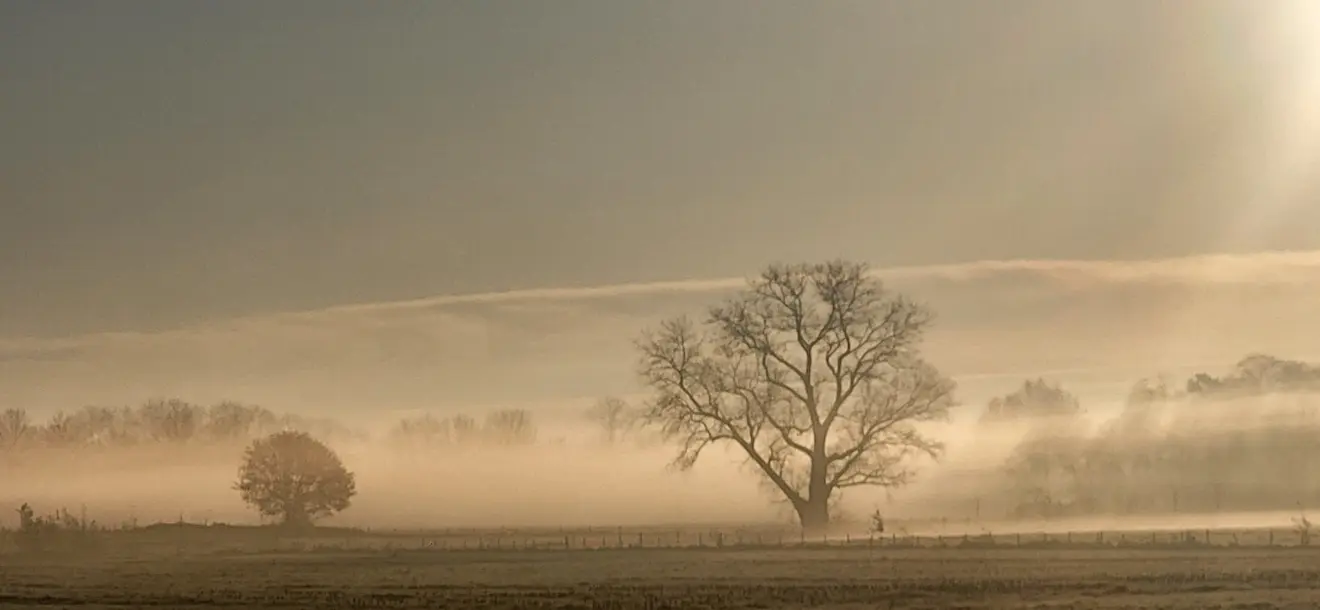 Mooi, winters plaatje uit de omgeving van Terwolde - Mark Wolvenne