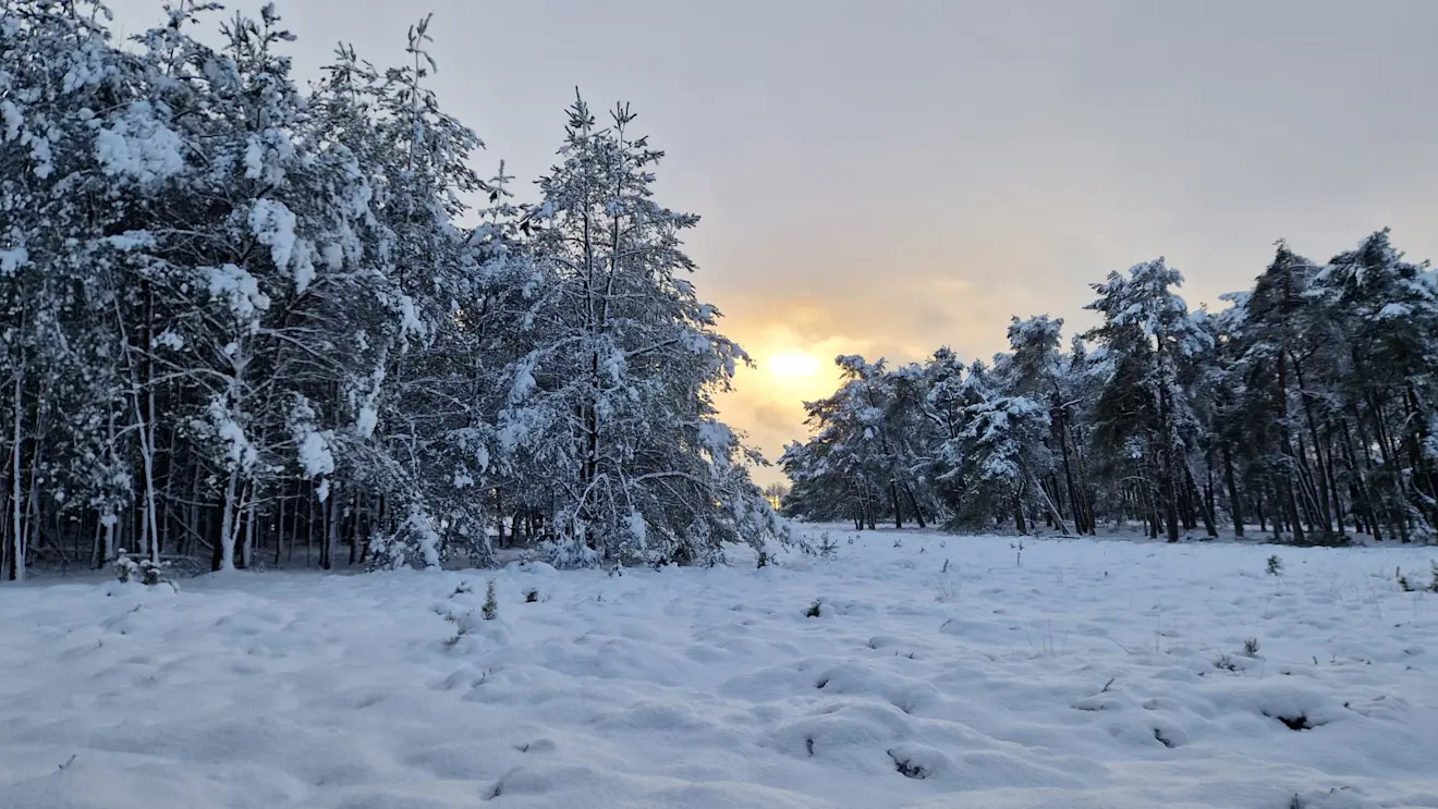 Soms komt het zonnetje erdoor. Het lijkt wel Lapland - Reinout van den Born