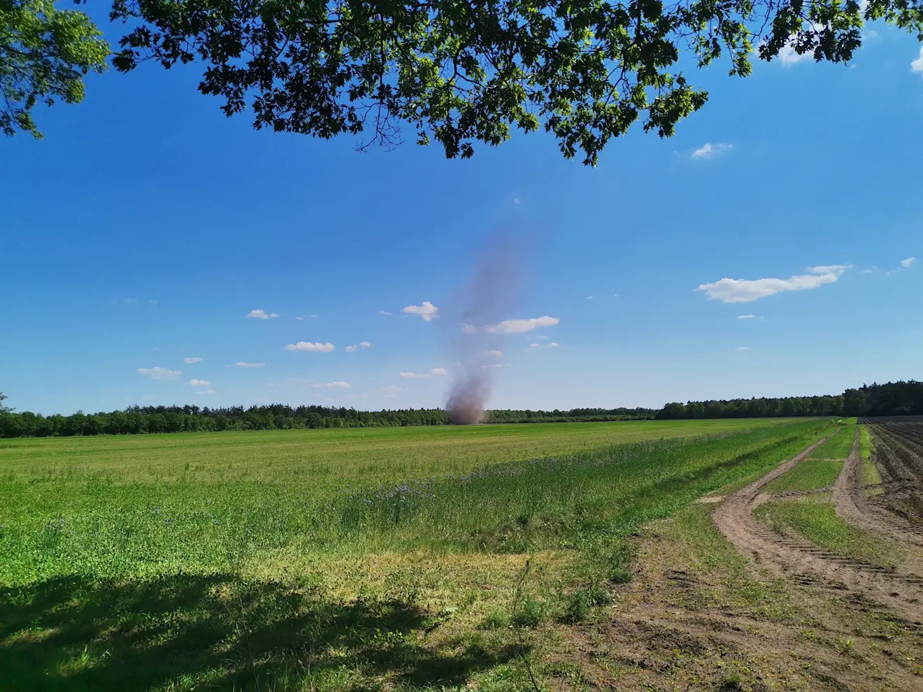 Tussen Appelscha en Elslo - Wiebe Meerstra