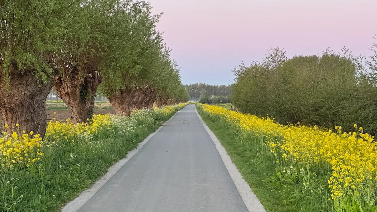 Er staat op dit moment ontzettend veel in bloei - John Oomen