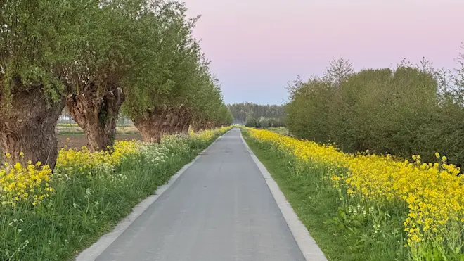 Er staat op dit moment ontzettend veel in bloei - John Oomen