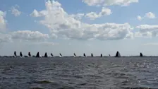 Skûtsjesilen op de Friese wateren - Albert Thibaudier