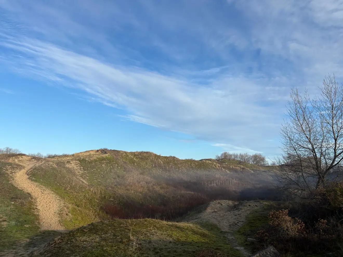 Optrekkende mist in de Papegaaiduinen - Pieter Bliek