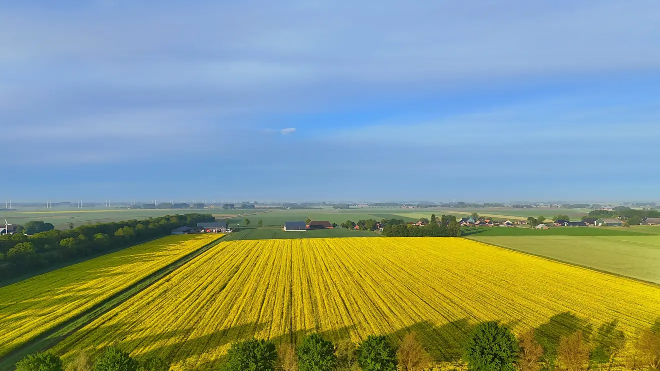 In het noodoosten scheen vanochtend eerst de zon nog even - Jannes Wiersema