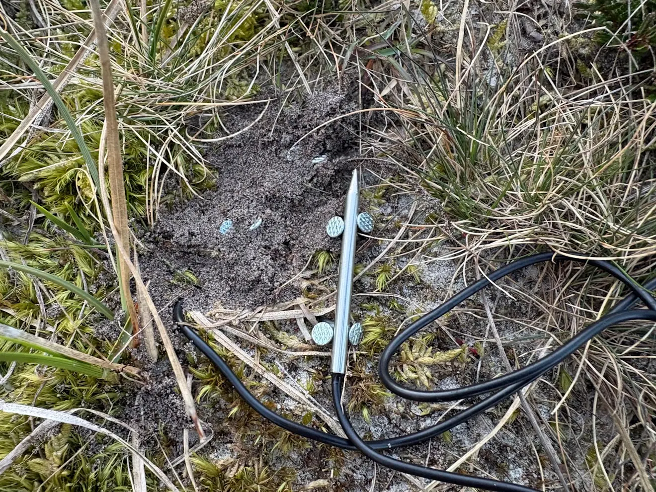 Een sensor op spijkers, net boven de grond - Pieter Bliek