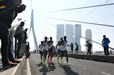 Deelnemers aan de marathon van 2017 op de Erasmusbrug in Rotterdam - Erik van Leeuwen