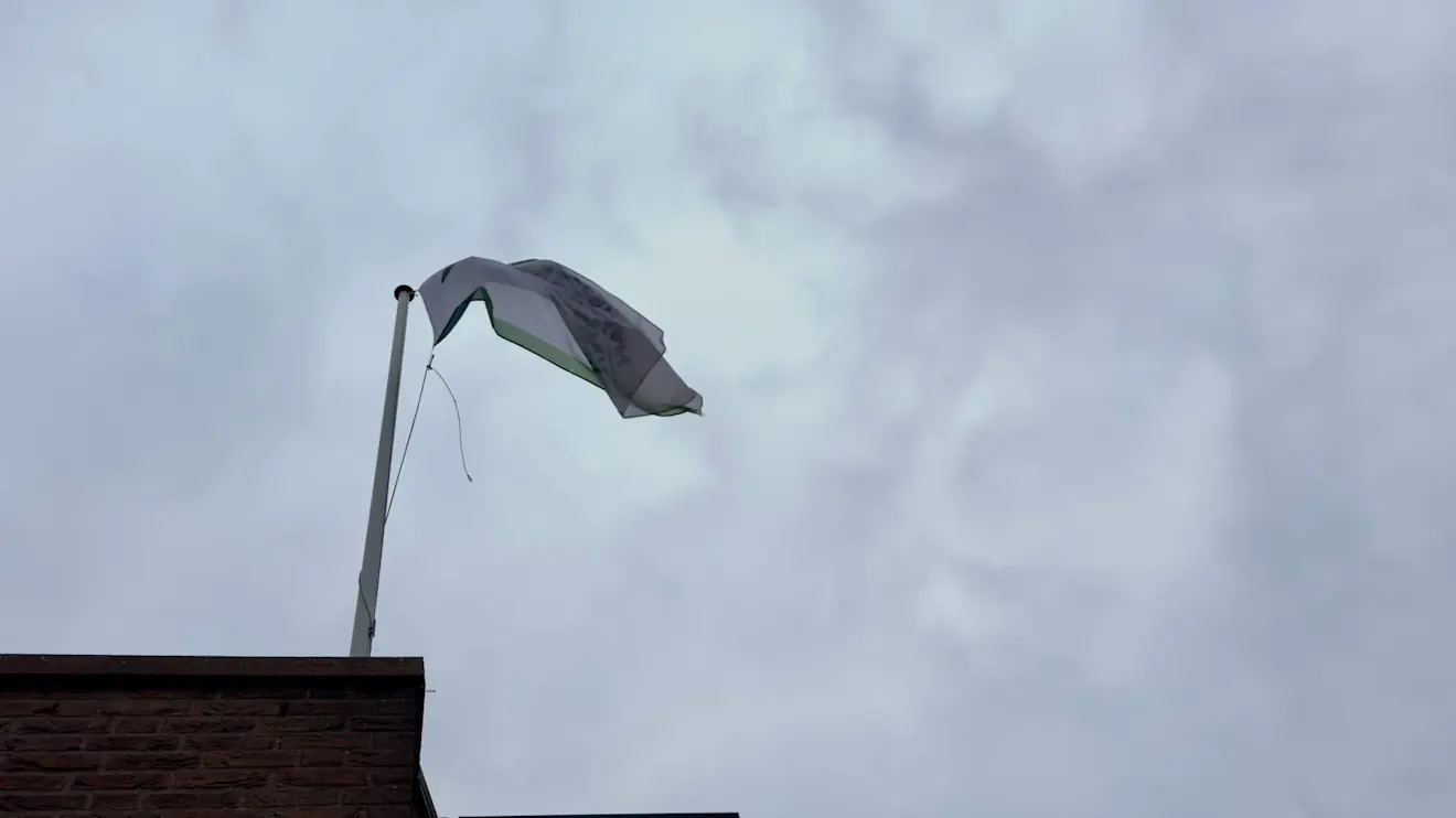 De wind maakte het in Nederland vrijdag voor het gevoel extra koud - Jolanda Bakker