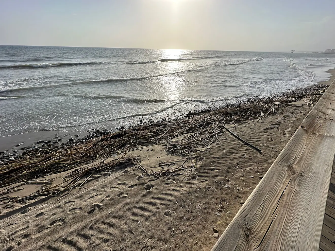 Takken, die tijdens het noodweer de zee op zijn gespoeld, liggen overal nog op het strand en moeten de komende tijd worden opgeruimd - Tycho van den Born