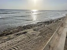 Takken, die tijdens het noodweer de zee op zijn gespoeld, liggen overal nog op het strand en moeten de komende tijd worden opgeruimd - Tycho van den Born