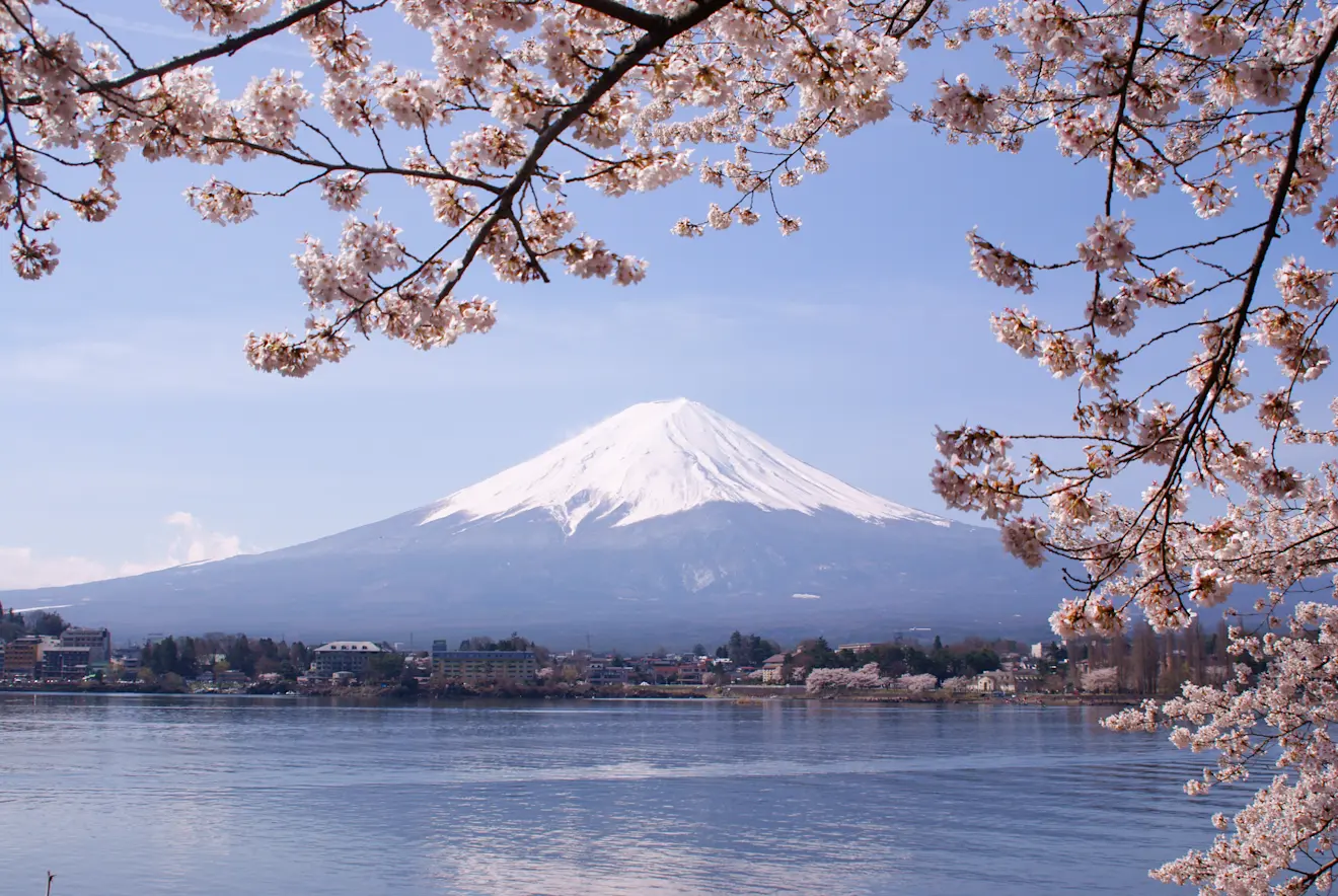 De Fuji in betere tijden - Wikipedia