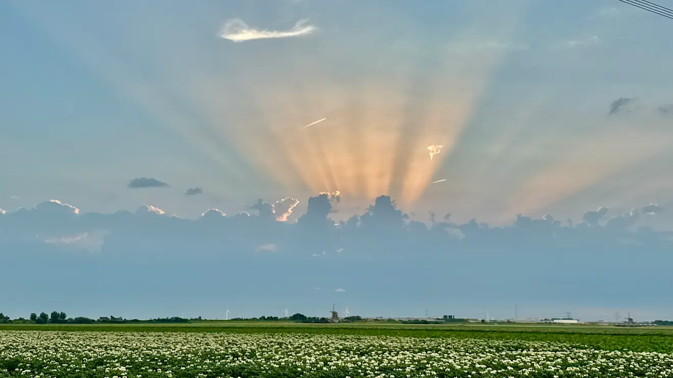 Het lijnenspel van de zon en de wolken - Jolanda Bakker