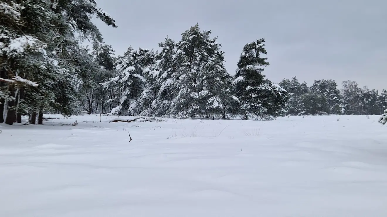 Die monumentale sneeuwlaag op de grond... - Reinout van den Born