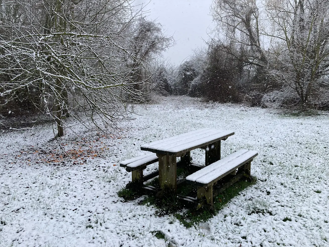 Nog een plaatje van vanochtend uit Borgloon - Karel Holvoet