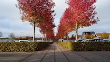 Vandaag nog een nazomerdag, daarna wordt het minder warm - Albert Thibaudier