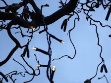 De donkere dagen voor Kerst - Chris Meewis