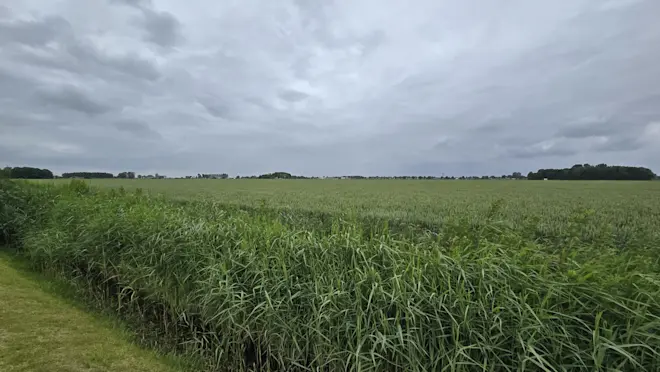 Grijze luchten boven Groningen - Jannes Wiersema.