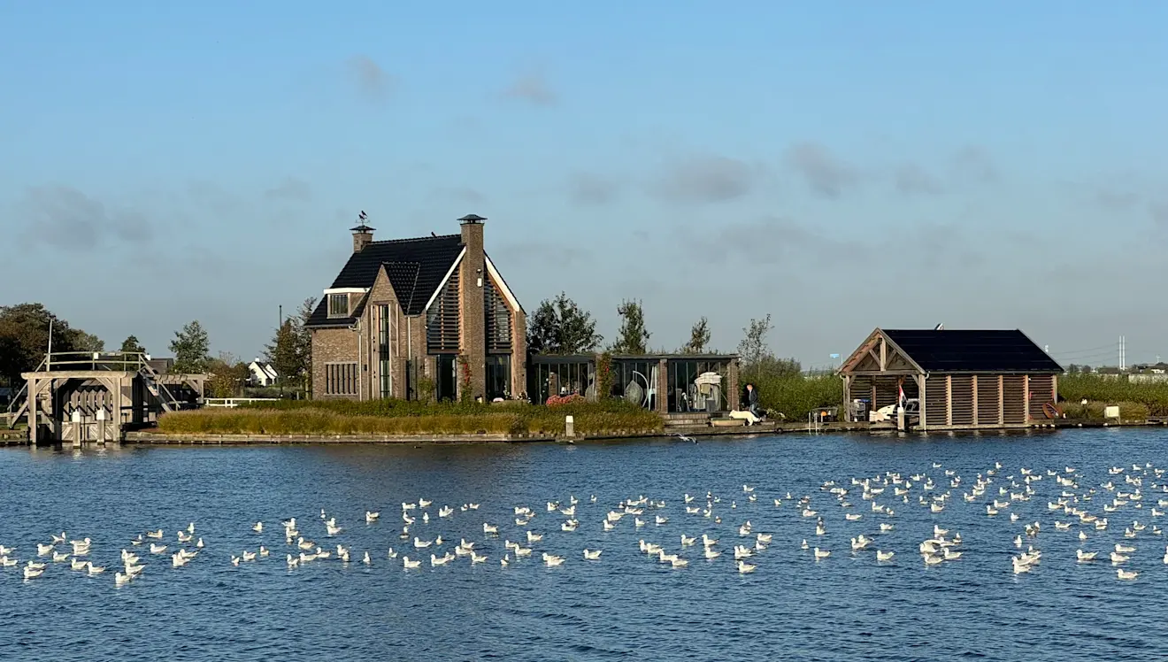 Watervogels genieten van het mooie herfstweer - Jolanda Bakker