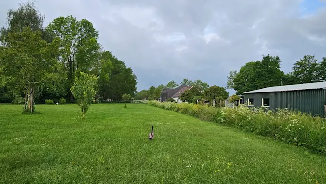 De dag begon op veel plaatsen bewolkt, zoals hier in Beusichem - Nely van Frankenhuyzen