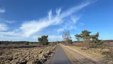 Een prachtige lentedag op de Veluwe - Jolanda Bakker