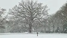 Er is dit jaar in januari veel sneeuw gevallen, zoals hier in Park Daalhuizen in Velp - Reinout van den Born