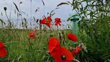 Regenachtige start op Texel - Frans Alderse Baas