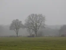 Grijs en nevelig was het vanochtend op veel plaatsen - Chris Meewis