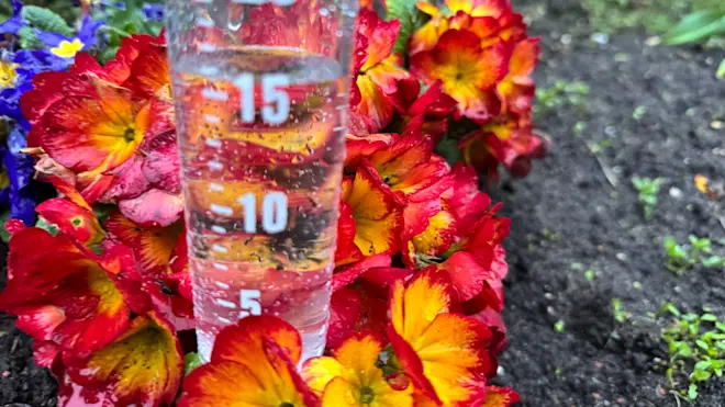 Vandaag valt eerst nog veel regen, daarna breekt een zonnige periode aan - Jolanda Bakker