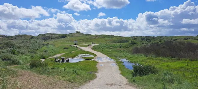 Zonnig weer in de duinen bij Katwijk - Grieta Spannenburg