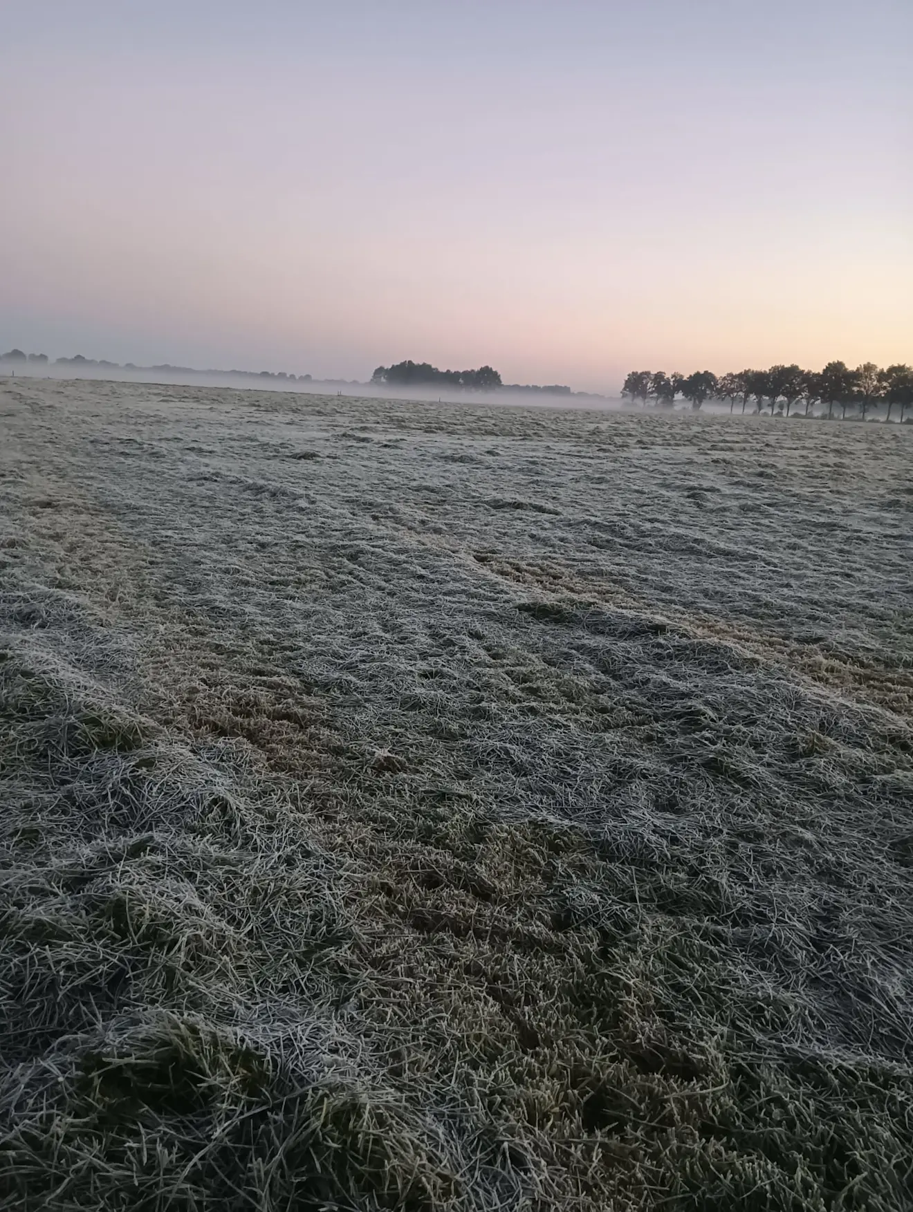 Rijp op de velden bij Wijster - Gerrit Woertink