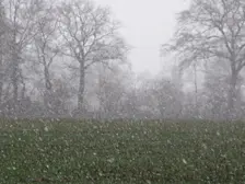 Foto ter illustratie - Tonny Morsink