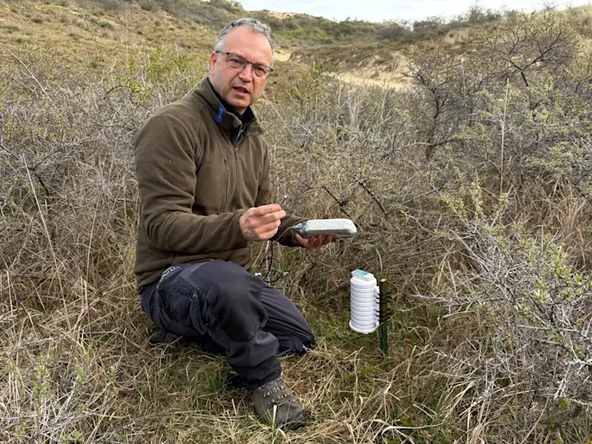 Pieter Bliek in duinpan Natuur en Bos 2 - Pieter Bliek