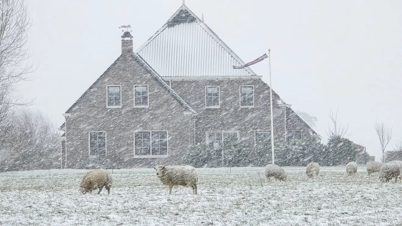 Sneeuw in Noordoost-Groningen - Jannes Wiersema