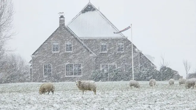 Sneeuw in Noordoost-Groningen - Jannes Wiersema