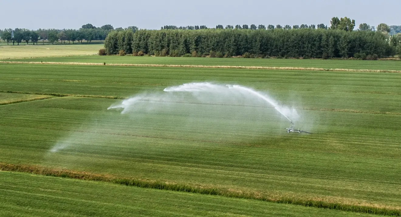 De sproeiers op het land om de droogte te bestrijden - Ab Donker