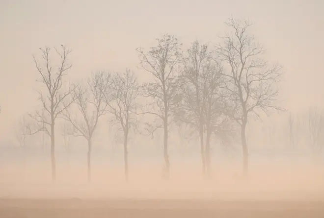 Prachtige mistfoto van Cynthia van Leusden.