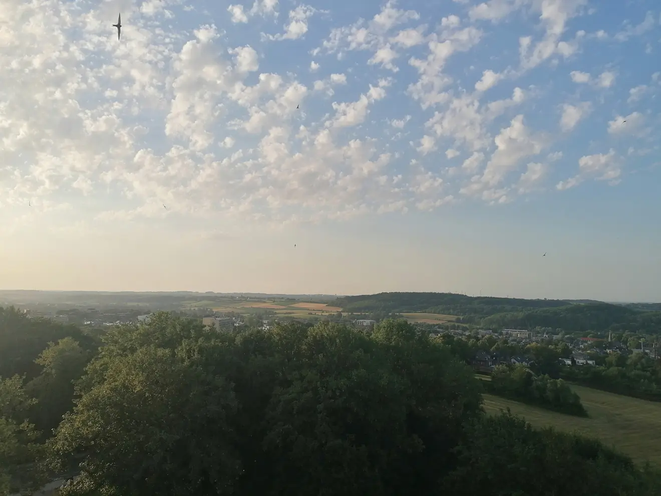 Altocumulus boven het Limburgse heuvelland - Carlos Sour