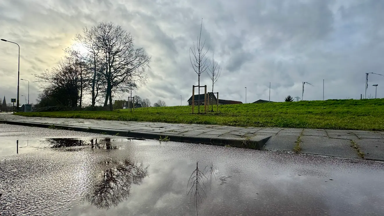Ook dit jaar werkt december er hard aan om een erg zachte maand te worden - Jolanda Bakker