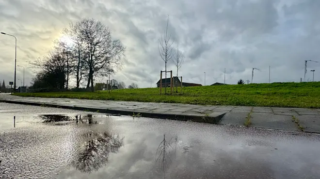 Ook dit jaar werkt december er hard aan om een erg zachte maand te worden - Jolanda Bakker