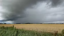 Buien in de zomer - Jannes Wiersema