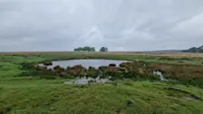 Regen boven het Terletseveld - Reinout van den Born