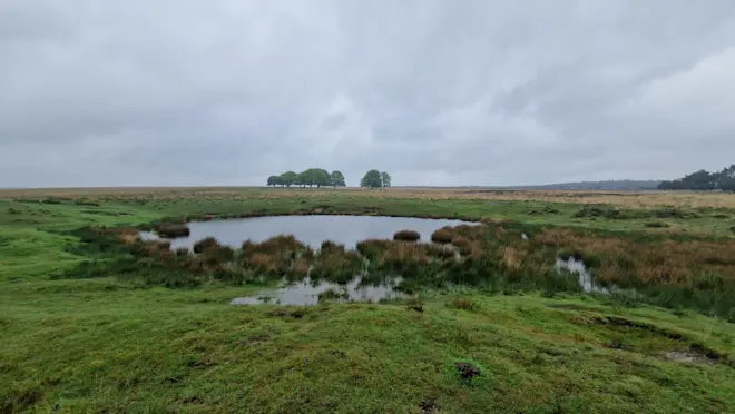 Regen boven het Terletseveld - Reinout van den Born