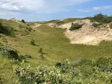 Locatie Bergen Diep met kalkrijke grond. Er staan geen heidestruiken - Pieter Bliek