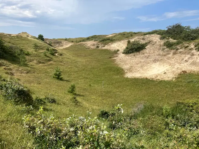 Locatie Bergen Diep met kalkrijke grond. Er staan geen heidestruiken - Pieter Bliek