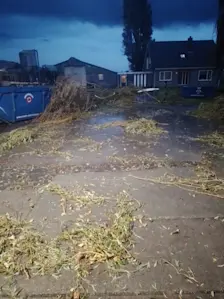 Takken liggen verspreid over het erf van de boerderij - Andries de Vries