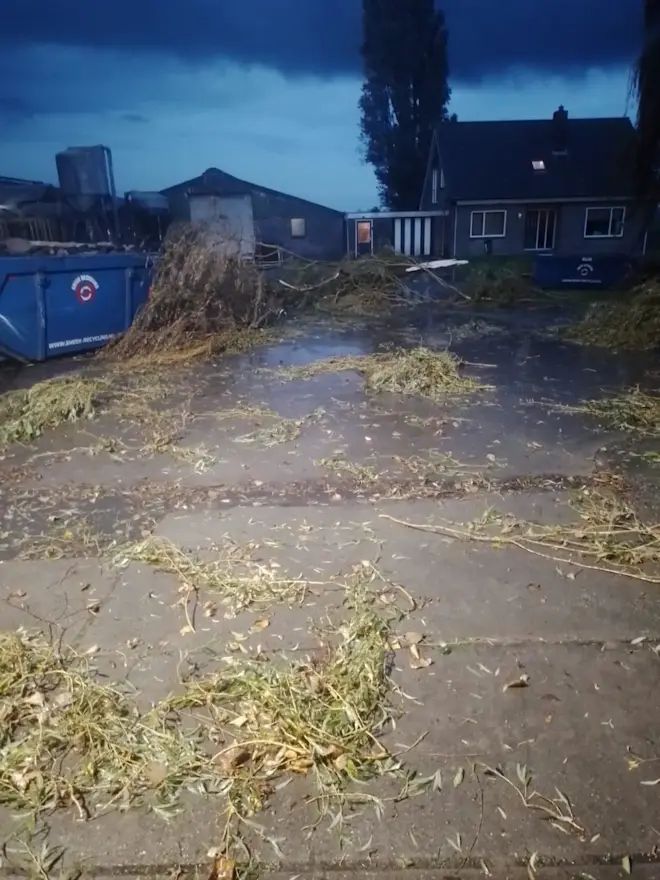 Takken liggen verspreid over het erf van de boerderij - Andries de Vries