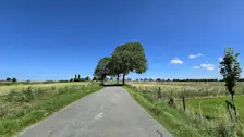 Het was maandag prachtig zomerweer in Nederland - Jannes Wiersema