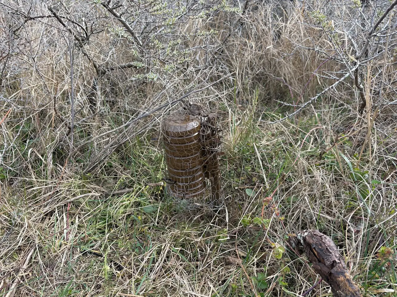 Een datalogger in Natuur en Bos 2 - Pieter Bliek